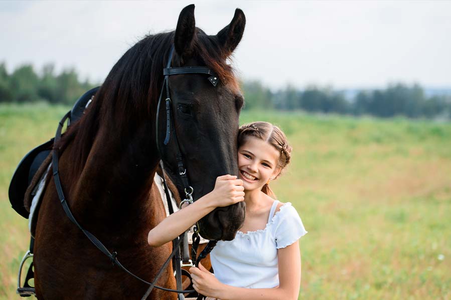 horse care basics header