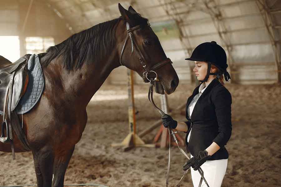 learning dressage riding