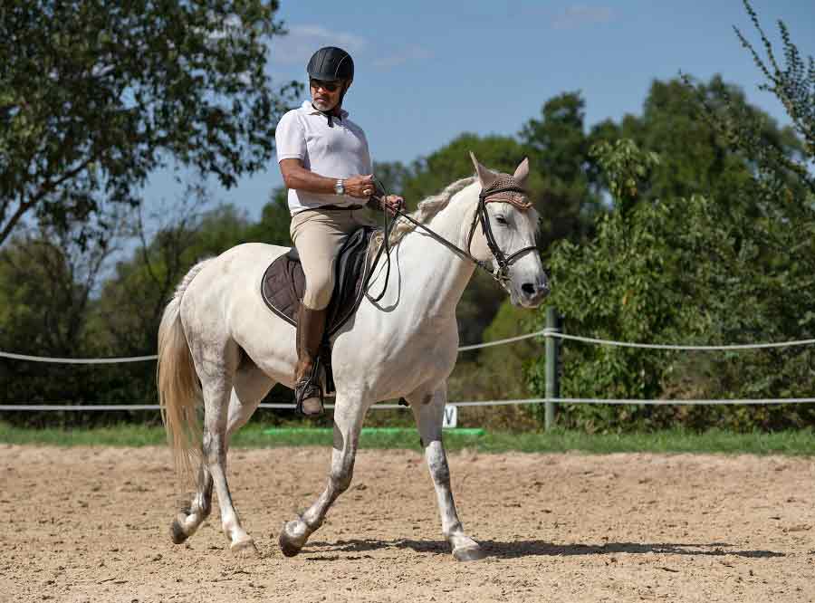 dressage athlete with his horse