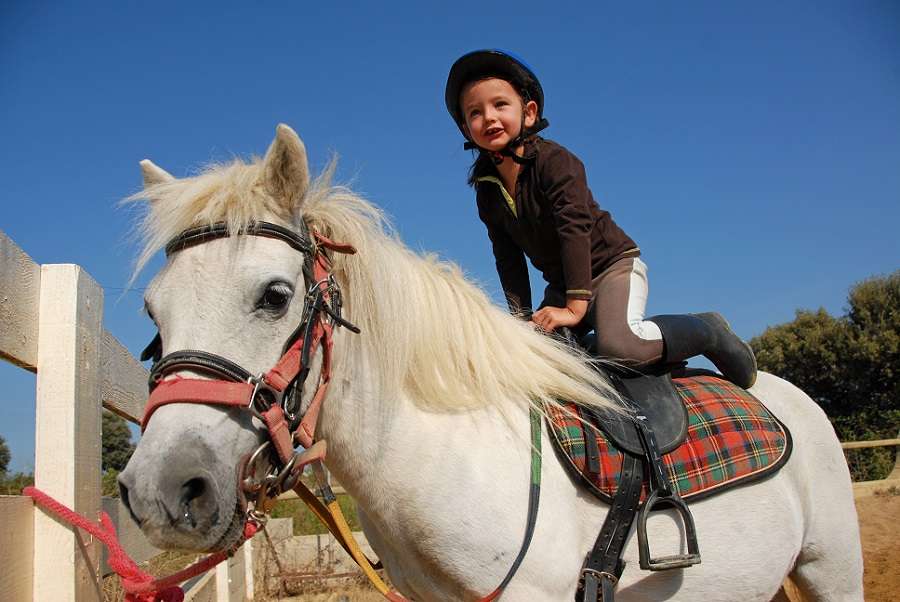 happy little girl and her friend white purebred shetland pony