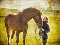 EquiSpa About